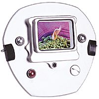 Light & Motion Stingray II Monitor Back NTSC/PAL 802-0170.jpg