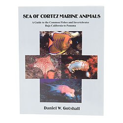 Sea of Cortez Marine Animals Book bk-soc.jpg