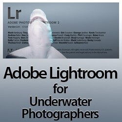 Adobe Lightroom Class for Underwater Photographers, Monterey class-lightroom.jpg