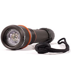 Inon LE 240 Dive Light in-le240.jpg