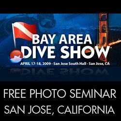 Bay Area Dive Show - Free Underwater Photography Seminar - April 30 - May 1, 2010 tc-baydiveshow.jpg