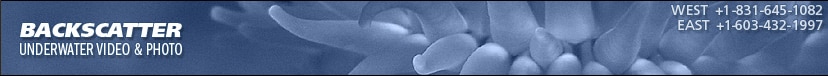 Backscatter Underwater Photo & Video