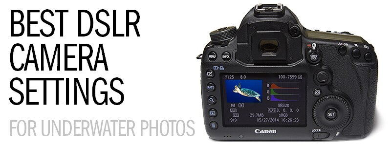 Underwater Camera Articles: The Best DSLR Camera Settings for