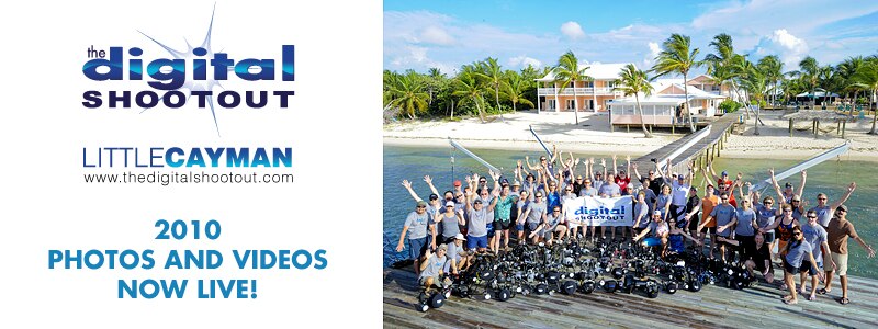 Digital Shootout Little Cayman - Photos and Video Now Live!