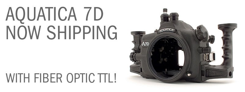 Aquatica Canon 7D Housing Now Shipping!