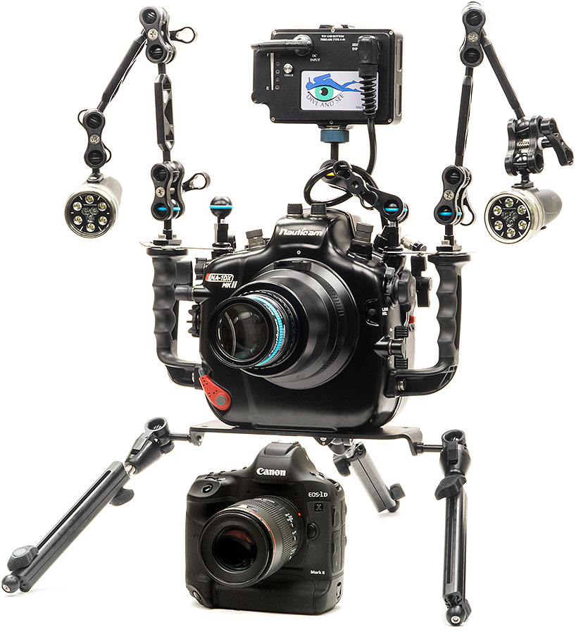 Canon 1Dx Mark II Underwater Camera Review Underwater Photography