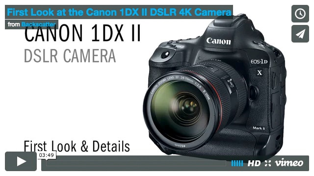 Canon 1DX MKII - TLDR Review