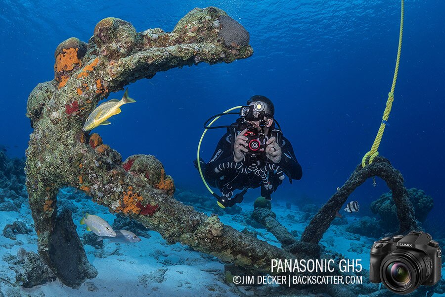 Best Underwater Cameras of 2018 Compacts & Mirrorless Cameras