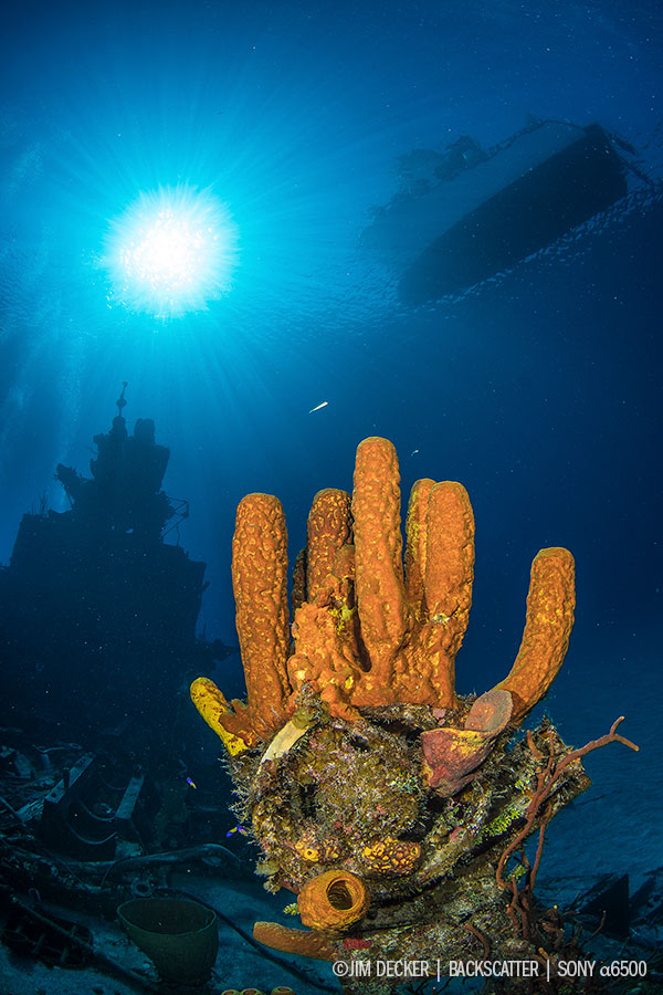 Best Underwater Cameras of 2018 Compacts & Mirrorless Cameras