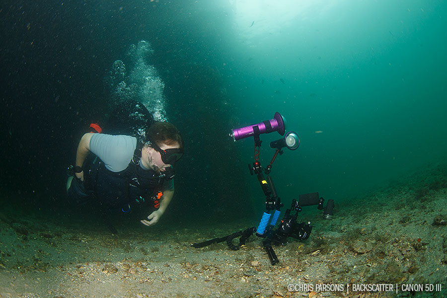 5 Tips For Better Underwater Macro Video Shooting Underwater