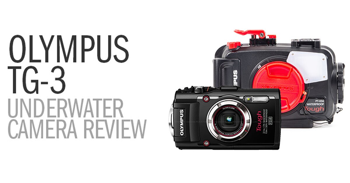 Underwater Camera Articles The Olympus TG3 Amazing Portable Macro