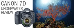 Canon 7D Underwater Housing Review