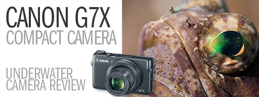 Canon Powershot G7X Compact Camera Underwater Review