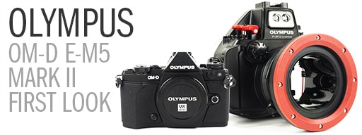 Olympus EM-5 Mark II Underwater Photo & Video Review - First Look and Details