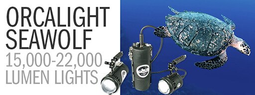 The Incredibly Bright Line of 15,000-22,000 Lumen Orcalight Seawolf Video Lights