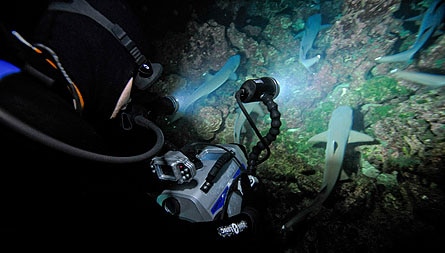 Underwater video light review high shooting at night