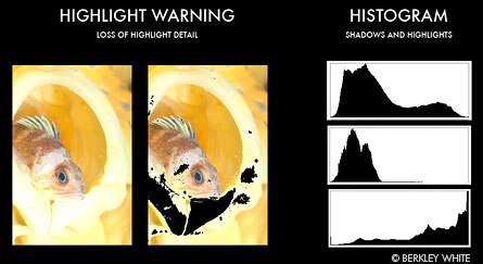 Best underwater point & shoot cameras - histograms