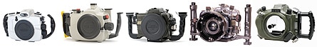 <a href='http://www.backscatter.com/HostedStore.LassoApp?-ResponseLassoApp=detail.lasso&ID=21980520de7003685468853aa454e795&s4op=cn&s4=EOS%205DMarkII&sop=AND&s' class='standard'>Canon 5D Mark II</a> Underwater Video - Seacam, Sea & Sea, Subal, Ikelite, andAquatech Housings