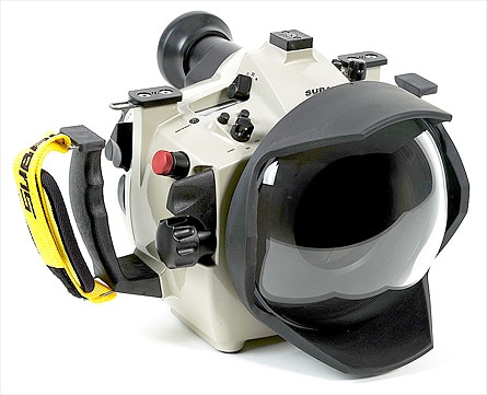 Nikon D3 Underwater - First Underwater Photography