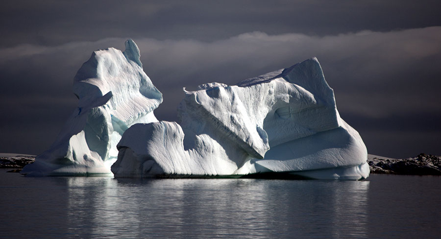 ANTARCTICA CITIZEN SCIENCE EXPEDITION - FEBRUARY 20 - MARCH 4, 2024