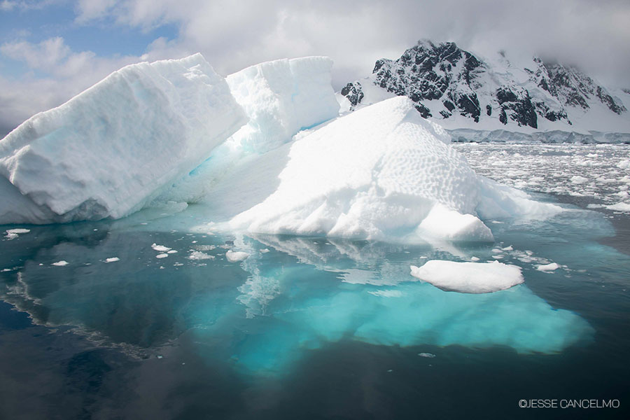 ANTARCTICA CITIZEN SCIENCE EXPEDITION - FEBRUARY 20 - MARCH 4, 2024