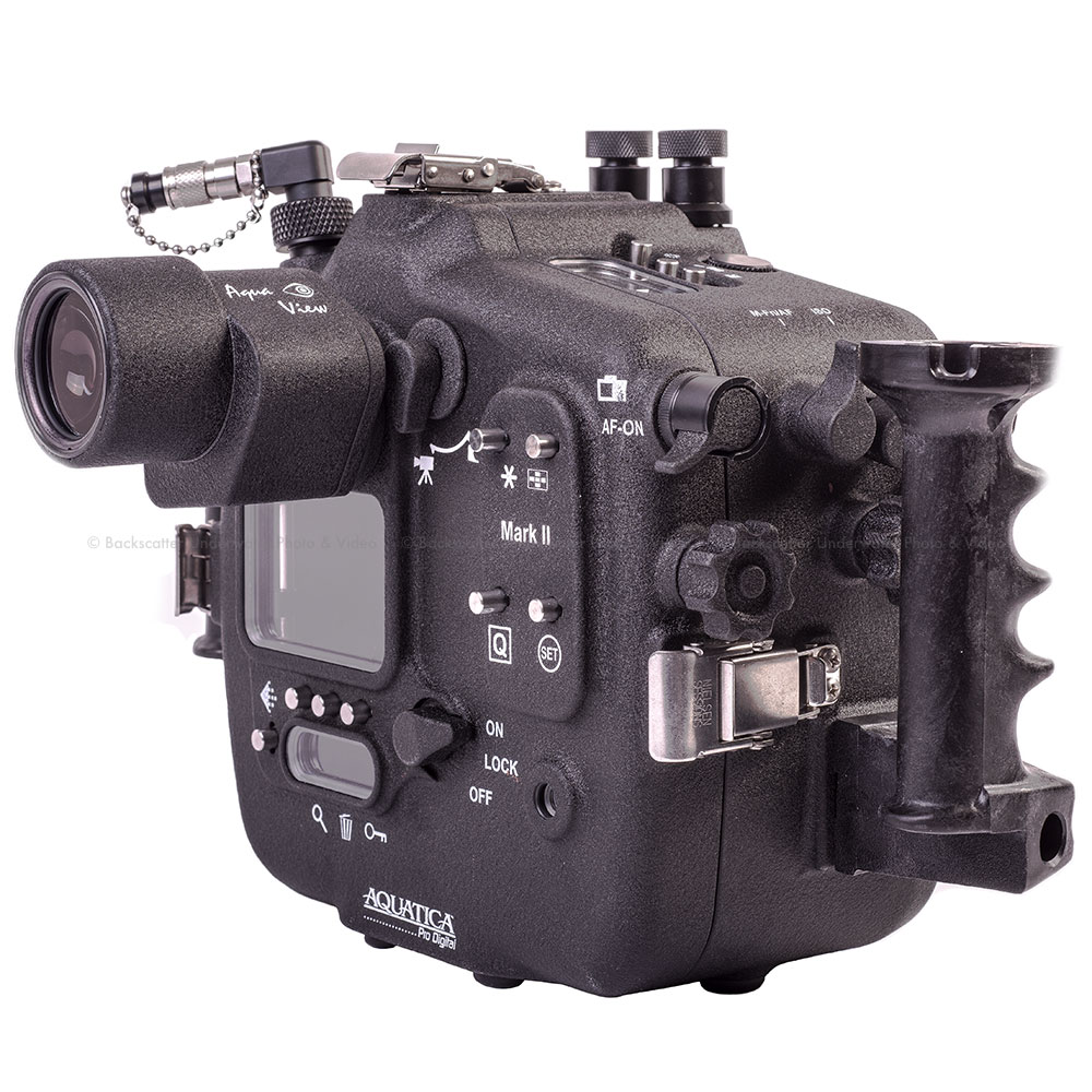Canon on sale 1dx ii