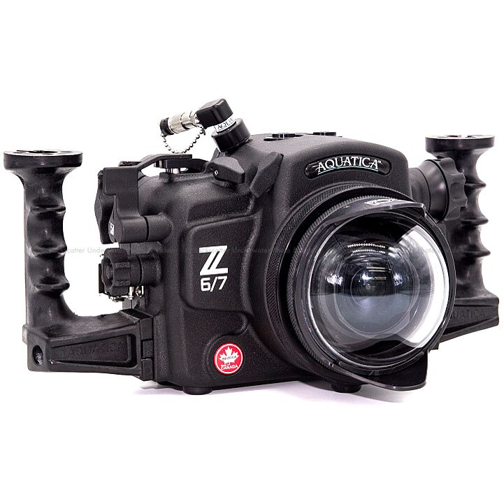 Nikon さかなクン Nikon Z 7 Underwater Camera Review - Underwater Photography