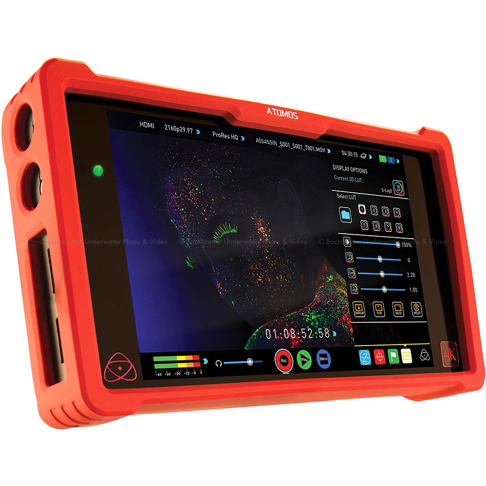 Atomos Ninja Assassin 7in External Monitor and Recorder