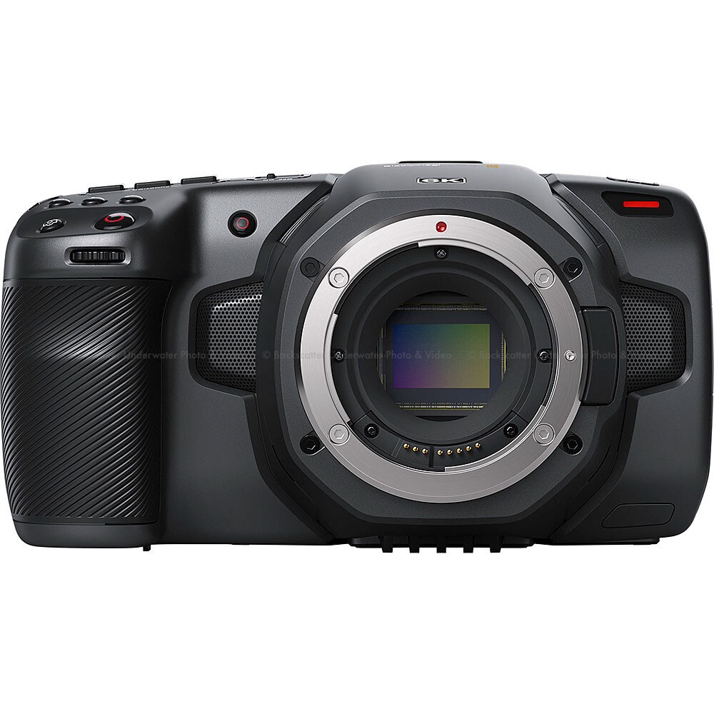 Blackmagic Design Pocket Cinema Camera 6K Pro (Canon EF) : MY WAY VIDEO