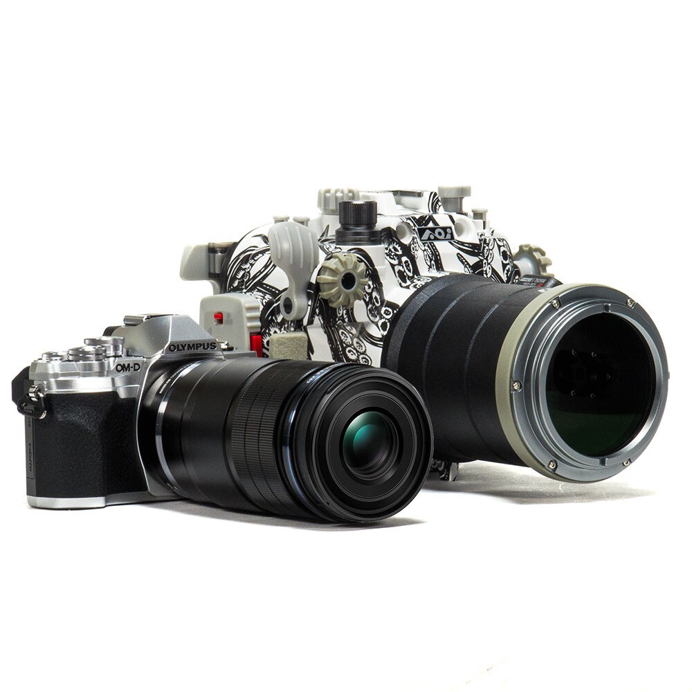 Olympus OM-D E-M10 IV Camera & 14-42mm EZ Lens Kit with Backscatter Octo Underwater Housing & Macro Addict Lens Package