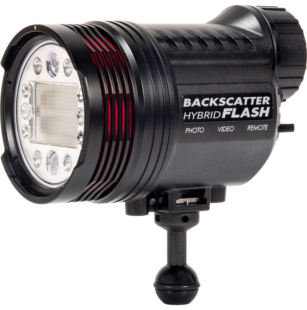 www.backscatter.com