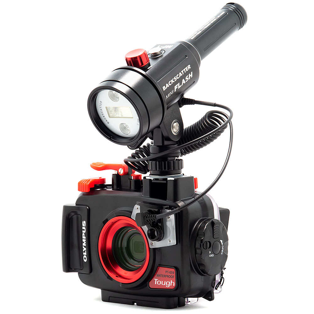 Backscatter Mini Flash MF-1 Underwater Strobe - MF-1 on Olympus TG-6 & PT-059 Underwater Housig