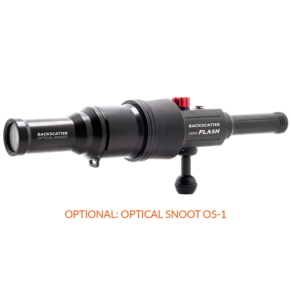 Backscatter Mini Flash MF-1 Underwater Review - The Digital