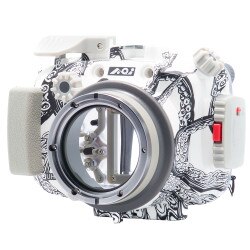 Backscatter Olympus PEN E-PL9 & E-PL10 Underwater Housing UH-EPL10