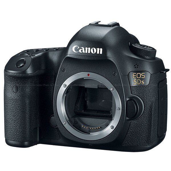 canon or sony camera