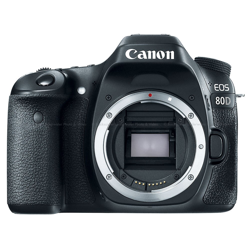 canon 80d flicker