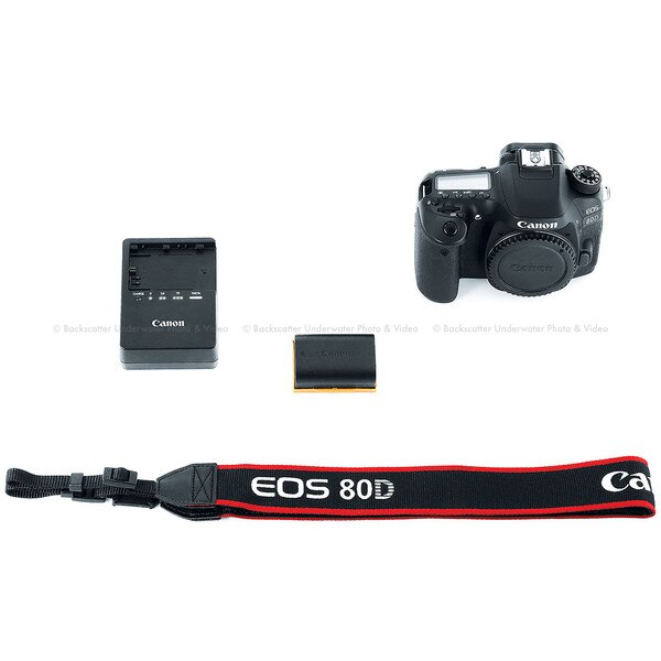 Canon EOS DSLR Body