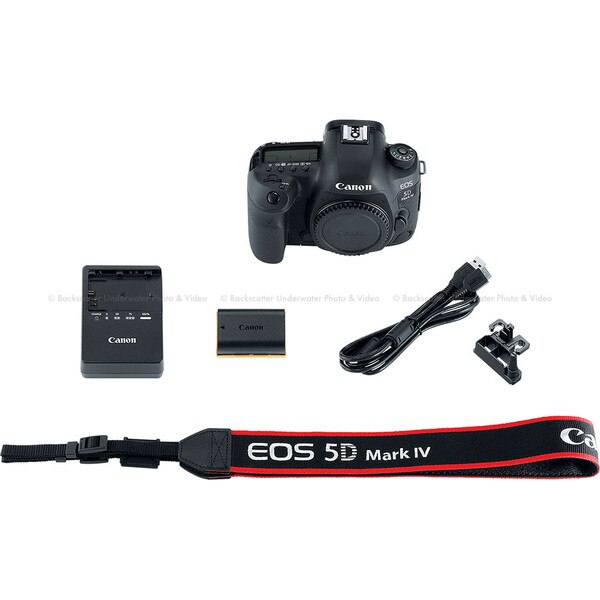 canon 5d mark iv pixel