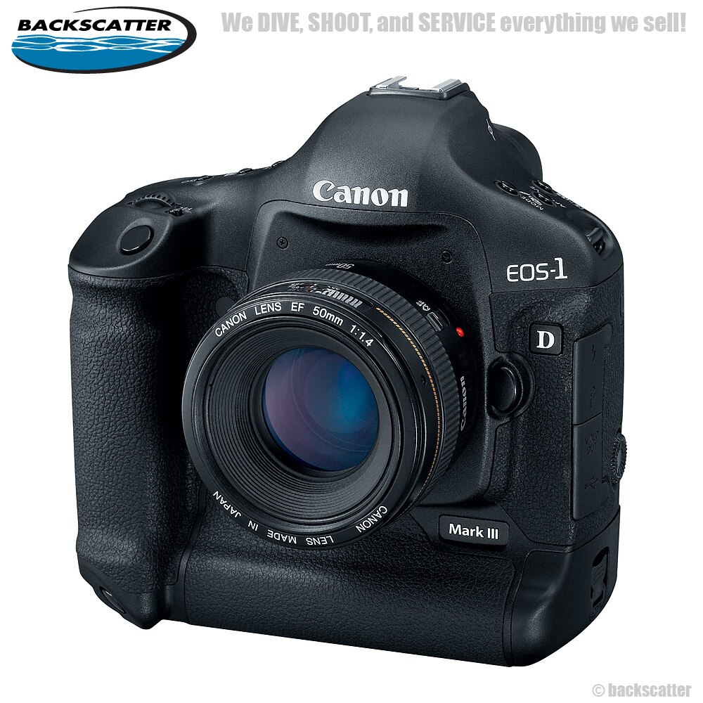 1d mark ii price