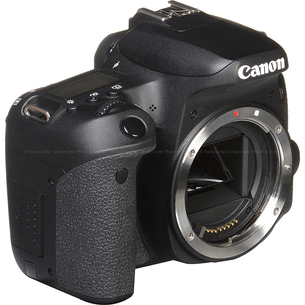 Canon EOS 77D DSLR Camera Body
