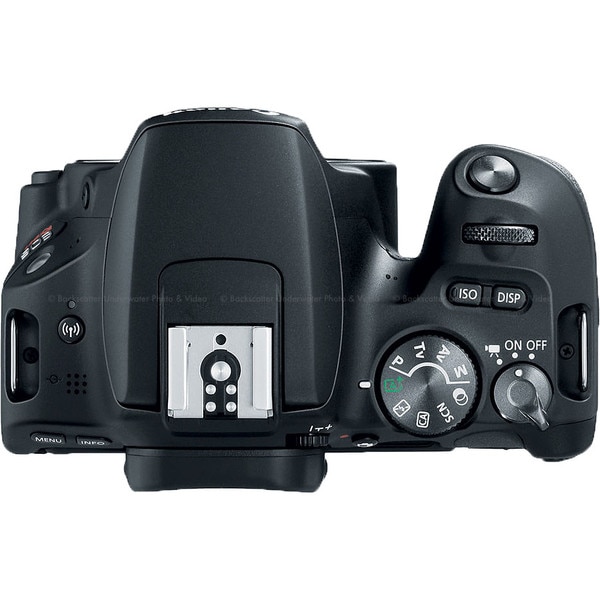 best underwater camera for swimmers