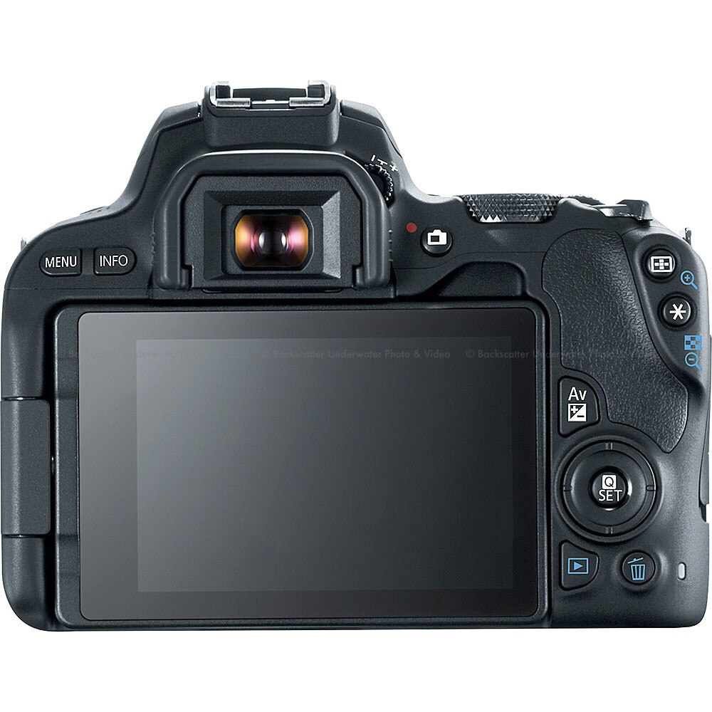 Canon EOS Rebel SL2 200D DSLR Camera with EFS 1855mm f/45.6 Lens Kit