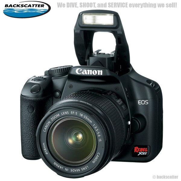 canon rebel xs dslr