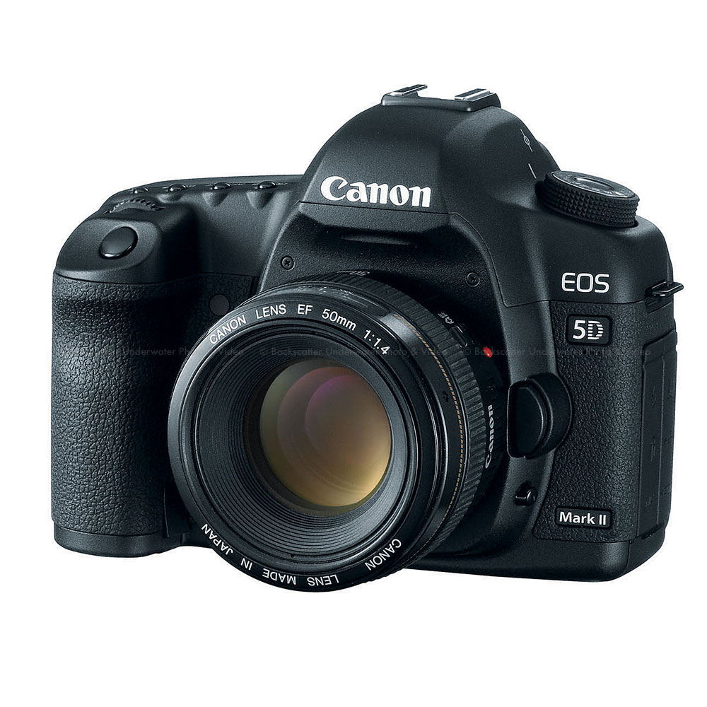 Canon EOS 5D Mark II