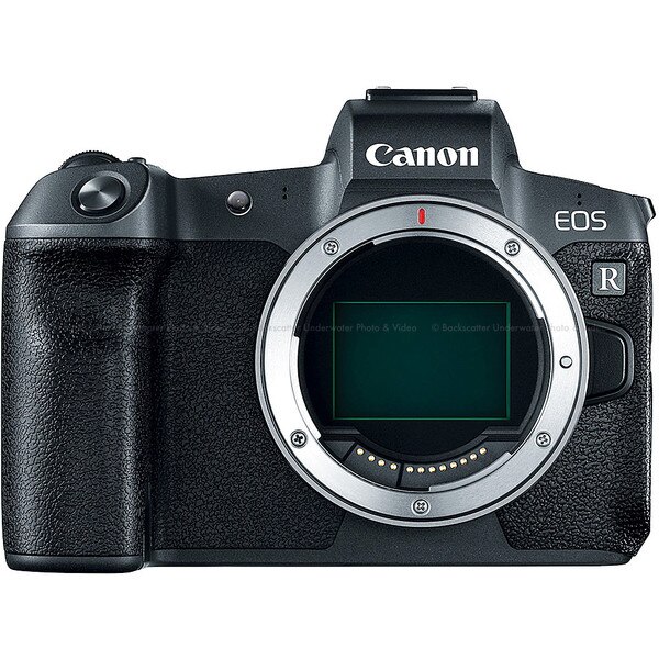 Canon EOS R Mirrorless Camera
