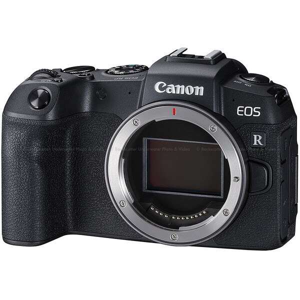 EOS RP, Digital single-lens non-reflex AF/AE camera