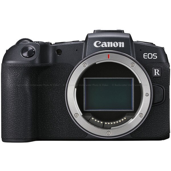 Should I Get the Canon EOS R or the EOS RP?