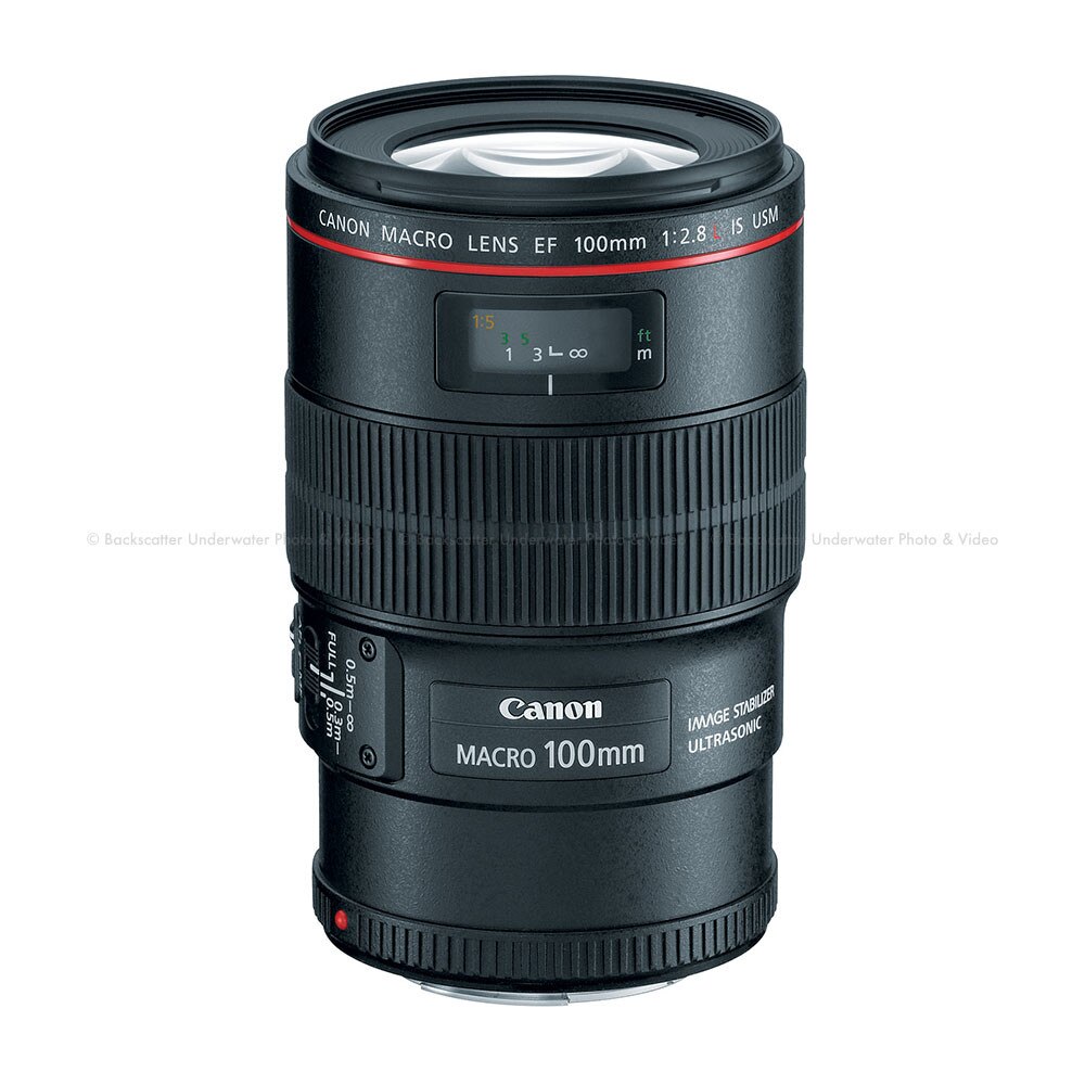 Canon EF 100mm f/2.8L Macro USM IS Lens