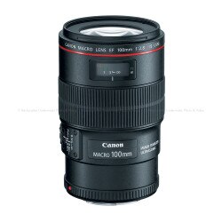 Canon EF 100mm f/2.8L Macro USM IS Lens