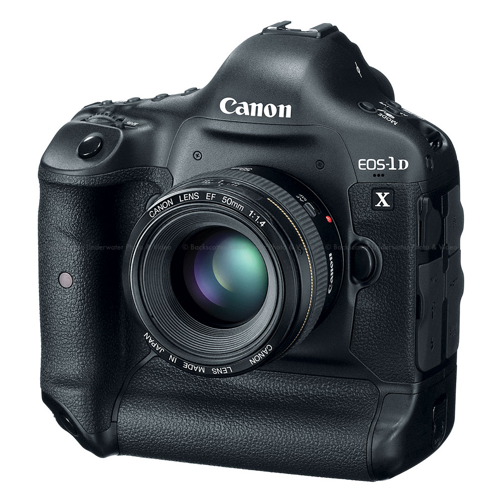 Canon EOS 1DX DSLR Pro Camera Body